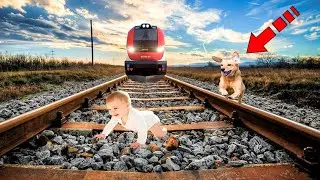 The father threw his son onto the railway tracks. But look what the dog did!