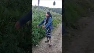 Valiente ciudadana les dice sus verdades en canción a los Prianistas
