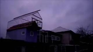Голуби николаевские! Миронова Виктора.
