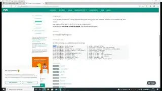 Basic function with or without parameter [Arduino]