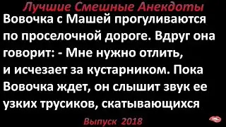 Желание Вовочки. Лучшие смешные анекдоты  Выпуск 2018