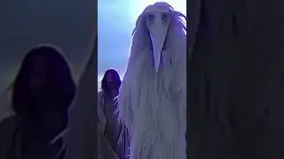 Bird 2027