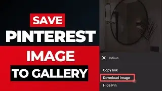How To Save Pinterest Image To Your Gallery | Download Image From Pinterest