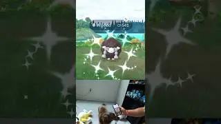 ✨My Dogs Got Me THIS *NEW* SHINY Pokemon In Pokemon Go!✨ #shorts #pokemon