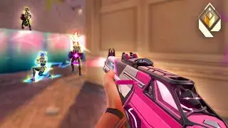 Slow Sens with Calm Aim