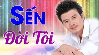Nhạc Sến Tuyệt Vời Với Giọng Ca ĐỘC LẠ NÀY - Đời Tôi - Liên Khúc Nhạc Sến Trữ Tình Hay Nhất 2018