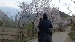 Точикистон 