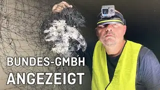 Tierquälerei bei der Autobahn GmbH - wir erstatten Anzeige | Tiernotruf #360