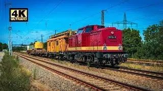 Sichtungen aus Saarmund vom 24.06.2019