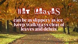 Safety Tips for a Safe & Fun Fall!