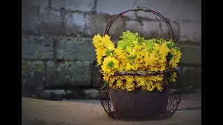 ВЕСЕННИЕ ЦВЕТЫ ИЗ ФОАМИРАНА