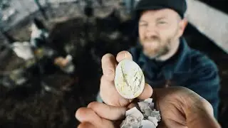 Chickens Ate ALL My Eggs, Until Now