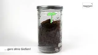 Glas-Biotop