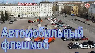 Flash Mob  Live Car Flashmob / Автомобильный флешмоб