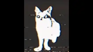 Дед клетка:Парик