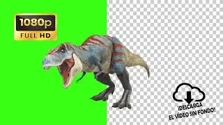 Dinosaurio T-Rex pantalla verde green screen HD