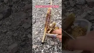 Natural Honey