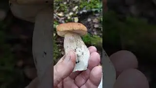 БЕЛЫЕ ПОШЛИ!!!)))