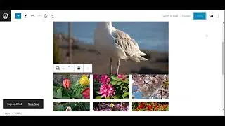 Adding Images, Gallery and Audio Files