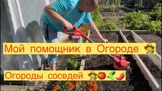 MY ASSISTANT IN THE VEGETABLE GARDEN 👩‍🌾 THE BEST VEGETABLE GARDEN 👍🏻 HOW TO MAKE PRESERVATIONS 👩...