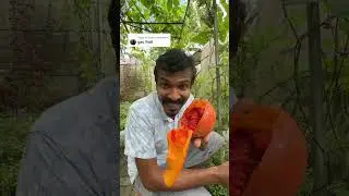 ඇස් පෙනීම අඩුද - gac fruit