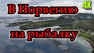 Норвегия мы уже скоро. путешествия в Норвегию, дорога, мосты паромы 4K