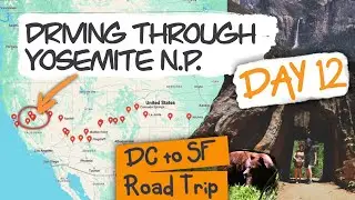 Driving through Yosemite National Park | USA ROADTRIP
