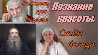 Восхождение души Владимира 4 часть. Познание красоты. Скайп-беседа.