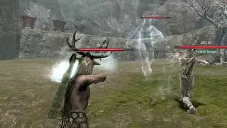 Skyrim Battles - Forsworn Archer vs. Karliah, Falmer, Draugr, and more