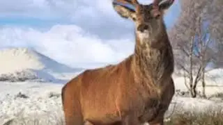 Ескі әуендерден ләззаттанайық