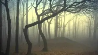 Туманный лес 2