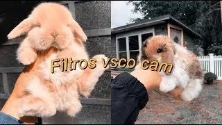 TODOS LOS FILTROS ACTUALIZADO 2019 ✨