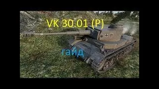 VK 30.01 (P) - гайд