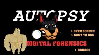 Digging Trough Computer's HDD/SDDs Easily with this CHAD Tool | review & tutorial - basics