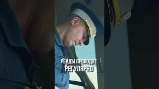 Сотрудники ГИБДД проверили езду водителей автобусов