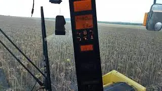 Подсолнечник уборка 2021 кейс 2388
