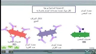 مضادات الأجسام نوعية : للثالثة إعدادي