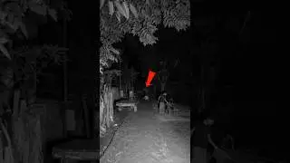 #ghost #halloweenghost #halloweencostume #spookydecor #ghostlytales #paranormal