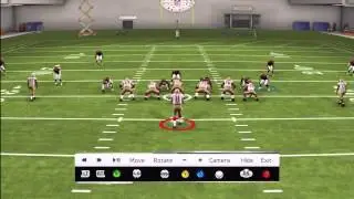 Madden 13 Nano Blitz
