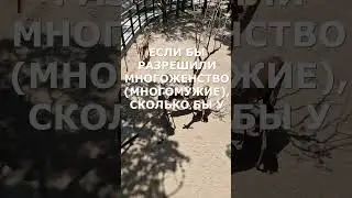 #вопрос