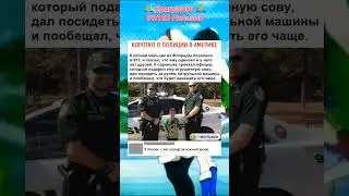 мемы #юмор #ржака #угар #мемы #смех #смешно #shorts #fyp