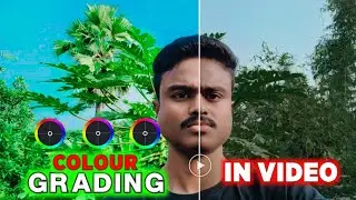 How to Colour Grading Like a PRO || Video Colour Grading in Vn App