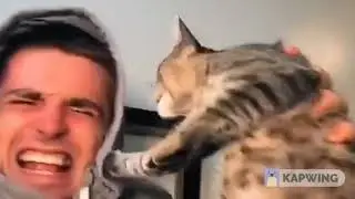 Tiktok Photogenic Compliation