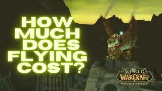 How much gold is flying in World of Warcraft The Burning Crusade Classic?