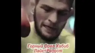ХАБИБ И ПО НОЧАМ МНЕ СНИТСЯ КОНОР И ВСЯ КРАСОТА ЧТО В ДАГЕСТАНЕ
