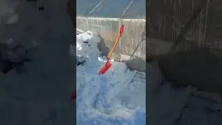 Первый облет в этом году