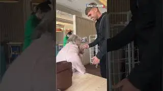 Surprise videos never get old