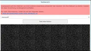 Mit eine Webcam, mehreren Anwendungen gleichzeitig nutzen /streamen.