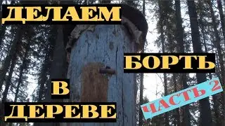 Делаем борть для пчел в дереве  Часть 2 #4