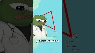 Сотни лет слежки за угрями закончились ничем
